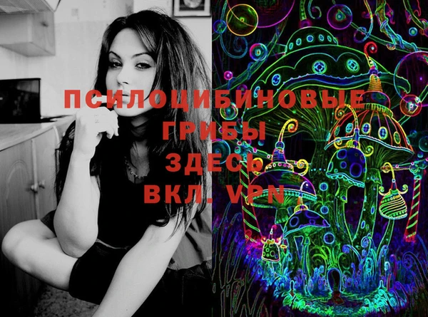 дживик Богданович