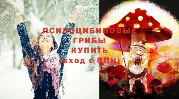 mix Белокуриха